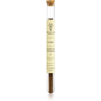 Smells Like Spells Norse Magic Kvasir betisoarele parfumate (intelligence spell) 50 g
