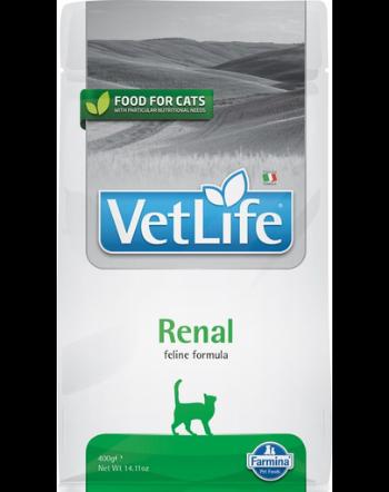 FARMINA Vet Life Renal Cat 2 kg