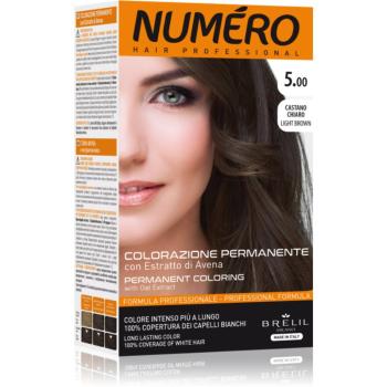 Brelil Professional Permanent Coloring culoare par culoare 5.00 Light Brown 125 ml