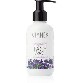 Vianek Fortifying exfoliere enzimatica blanda pentru piele sensibilă 150 ml