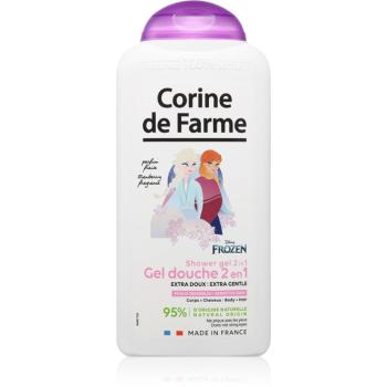 Corine de farme Shower Gel 2 in 1 Frozen gel de duș 2 in 1 300 ml