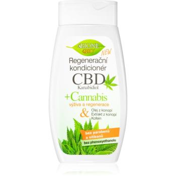 Bione Cosmetics Cannabis CBD balsam regenerator pentru păr 260 ml