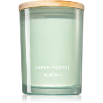 Makers of Wax Goods Aspen Forest lumânare parfumată 420 g