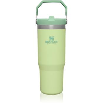 Stanley IceFlow™ Flip Straw Tumbler sticlă inoxidabilă pentru apă Citron 890 ml