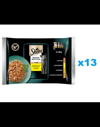 SHEBA Selection Select Slices 52x85 g mancare pentru pisici adulte felii de rata, pui, pasare, rata si curcan in sos