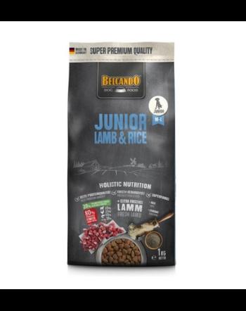 BELCANDO Junior hrana uscata cu miel si orez, pentru cainii cu varsta 4 luni+, talie M-L, 1 kg