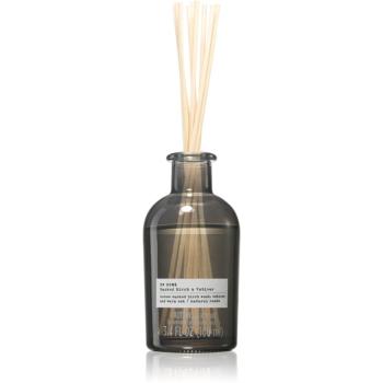 DW Home Typewriter Smoked Birch & Vetiver aroma difuzor cu rezervã 100 ml