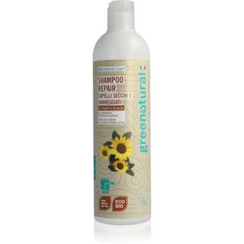 Greenatural Shampoo Repair sampon pentru regenerare pentru păr uscat și deteriorat cu unt de shea 400 ml