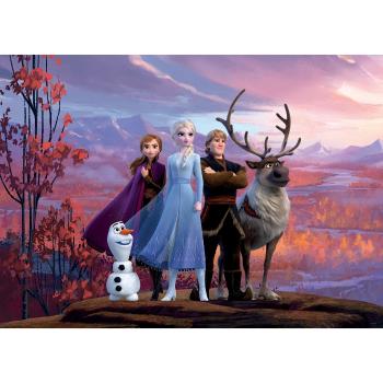 Tapet foto pentru copii Frozen 2, 156 x 112 cm