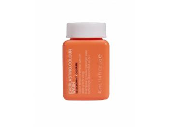 Kevin Murphy Șampon pentru protecția culorii părului Everlasting Color Wash (Colour Protect Shampoo) 40 ml