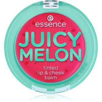 essence JUICY MELON balsam buze si obraz 3 g