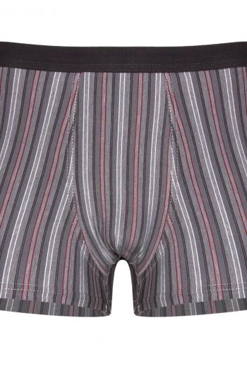 Boxeri pentru bărbați 233/85 Various perfect