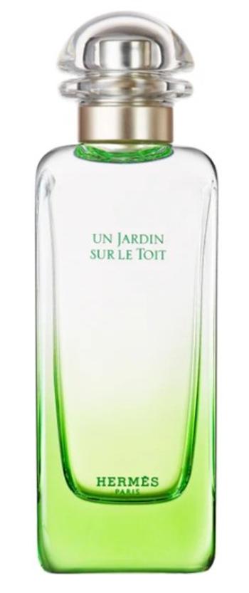 Hermes Un Jardin Sur Le Toit - EDT - TESTER 100 ml