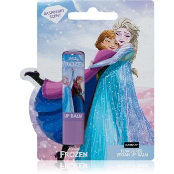 Disney Frozen 2 Lip Balm balsam de buze pentru copii Anna& Elsa 4,3 g