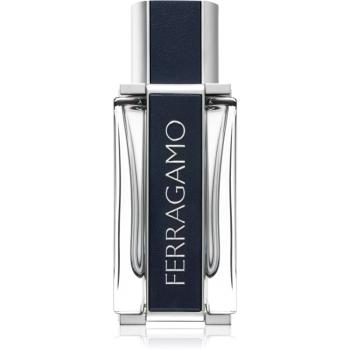 Ferragamo Ferragamo Eau de Toilette pentru bărbați 50 ml