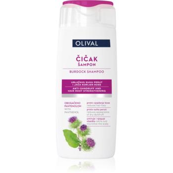 Olival Treatment Burdock șampon pentru păr uscat și deteriorat 250 ml