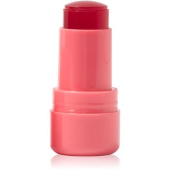 Technic Cosmetics Jelly Tint pirosító stick az arcra és a szájra árnyalat Peach Fizz 9 g