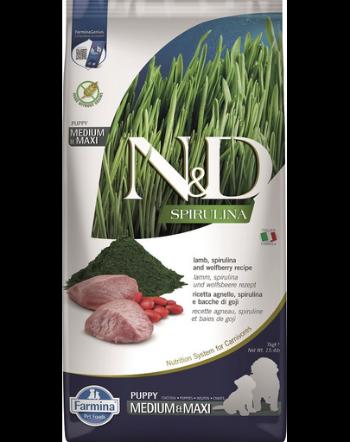 FARMINA N&amp;D Spirulina Puppy Medium&amp;Maxi Lamb &amp; Wolfberry 7 kg Hrana catei talie medie si mare, cu miel si spirulina