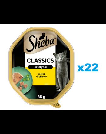 SHEBA Classics 22x85g pate pentru pisici adulte, cu pasari de curte