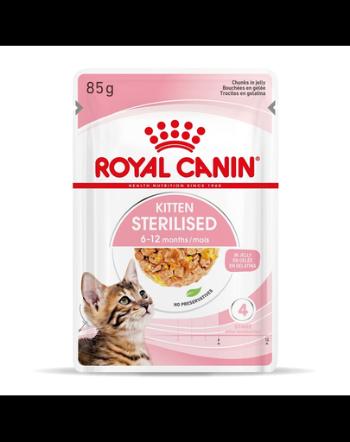 ROYAL CANIN Kitten Sterilised Hrana umeda pentru pisoi sterilizati, in aspic 12 x 85 g