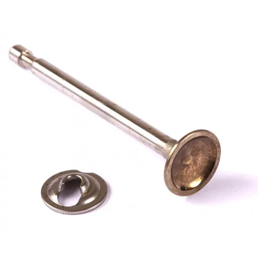 Supapa Evacuare Briggs-Stratton 3.5 CP (296676)