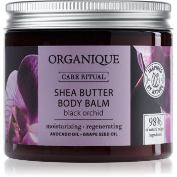 Organique Black Orchid balsam hranitor pentru corp unt de shea 200 ml