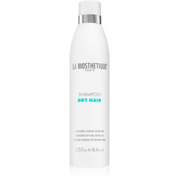 La Biosthétique Dry Hair șampon pentru par uscat 250 ml