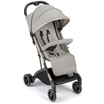 CAM Compass II, Sivý a zlatý podvozok (8005549328327)