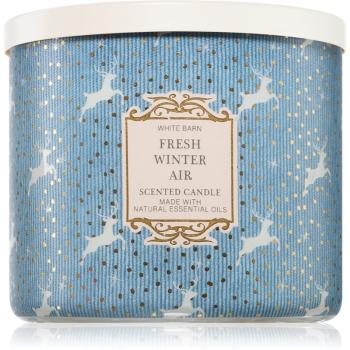 Bath & Body Works Fresh Winter Air lumânare parfumată 411 g