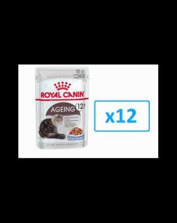 ROYAL CANIN Ageing +12 în aspic 12x85 g