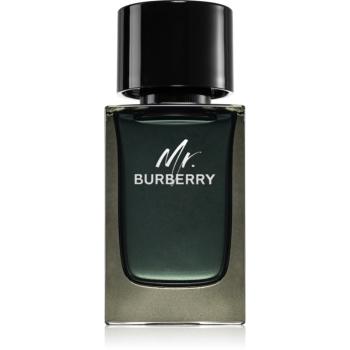 Burberry Mr. Burberry Eau de Parfum pentru bărbați 100 ml