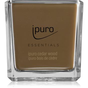 ipuro Essentials Cedar Wood lumânare parfumată 125 g