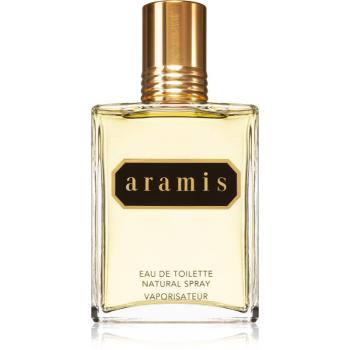 Aramis Aramis EDT Eau de Toilette pentru bărbați 110 ml