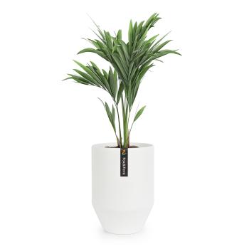 Fox & Fern Almere ghiveci Polystone ideal pentru plante, lucrat manual, conic