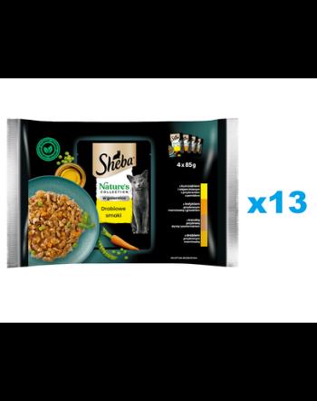 SHEBA Nature’s Collection in aspic 52x85 g hrana completa pentru pisici adulte cu: pui, curcan si rata