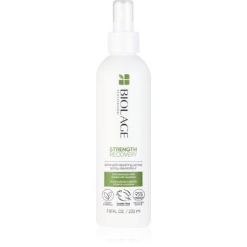 Biolage Strength Recovery Tratament pentru intarirea firului de par ce nu necesita clatire pentru par deteriorat 232 ml