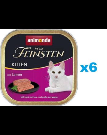 ANIMONDA Vom Feinsten Kitten set cu miel hrana pisoi 6 x 100 g