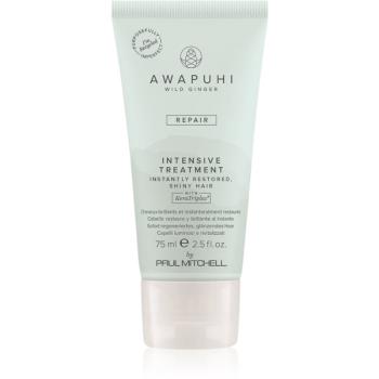 Paul Mitchell Awapuhi Wild Ginger Repair Intevsive Treatment tratament intensiv pentru par pentru par deteriorat 75 ml