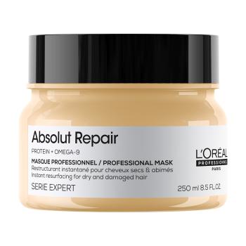 L'Oréal Professionnel Mască cu regenerare intensivă pentru păr deteriorat Serie Expert Absolut Repair GoldQuinoa + Protein (Instant Resurfacing Mask) 