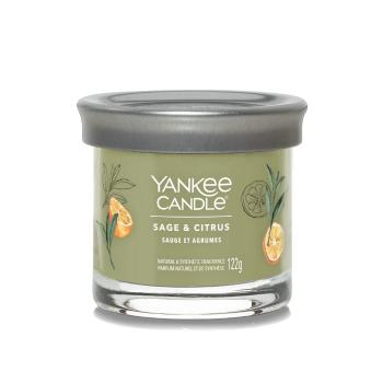 Yankee Candle Lumânare aromatică Signature pahar mic Sage & Citrus 122 g