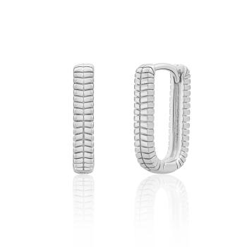 Sparkling Jewels Cercei suspendați din argint EAS25