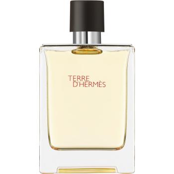 HERMÈS Terre d’Hermès Eau de Toilette pentru bărbați 100 ml