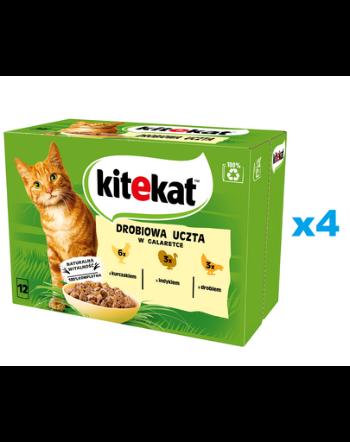 KITEKAT Set mancare umeda pisici adulte, pui, curcan si pasare in aspic 48x85 g