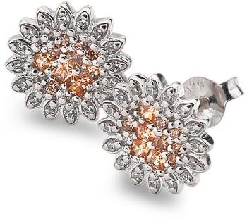 Hot Diamonds Cercei din argint Emozioni Spirzzare EE032