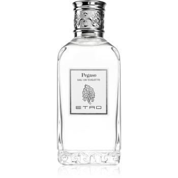 Etro Pegaso Eau de Toilette unisex 100 ml