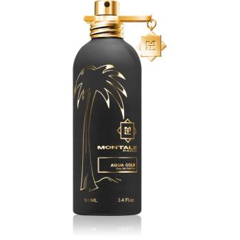 Montale Aqua Gold Eau de Parfum unisex 100 ml