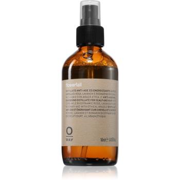 Oway botanical flowerfall tonic energizant pentru par si scalp 160 ml