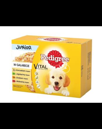 PEDIGREE hrana umeda pentru caini juniori, in aspic 36+12 GRATIS