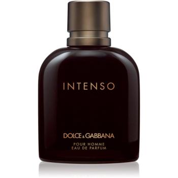 Dolce&Gabbana Pour Homme Intenso Eau de Parfum pentru bărbați 125 ml