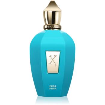 Xerjoff Erba Pura Eau de Parfum unisex 100 ml